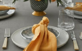 dinner-party-sitting-arrangement-decoration