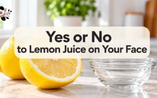 A sliced lemon and a small glass dish on a bright kitchen counter, soft natural light, clean and simple composition,